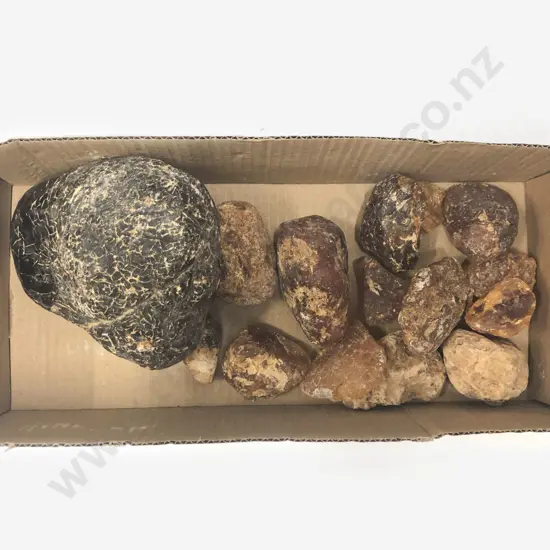 Small Quantity of Assorted Kauri Gum