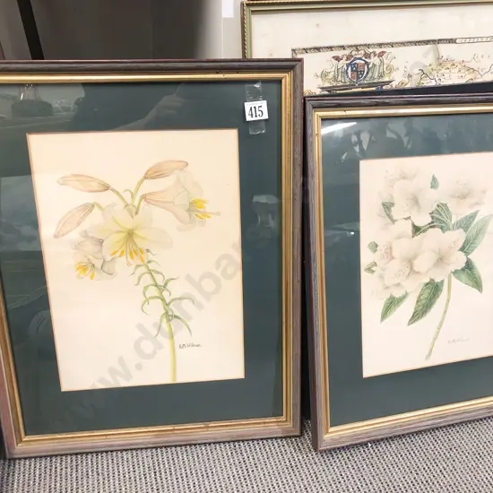Two Flower Studies by E.M. Wilcox - Watercolour