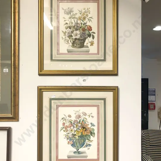 Pair of Hand Coloured Botanical Production Prints