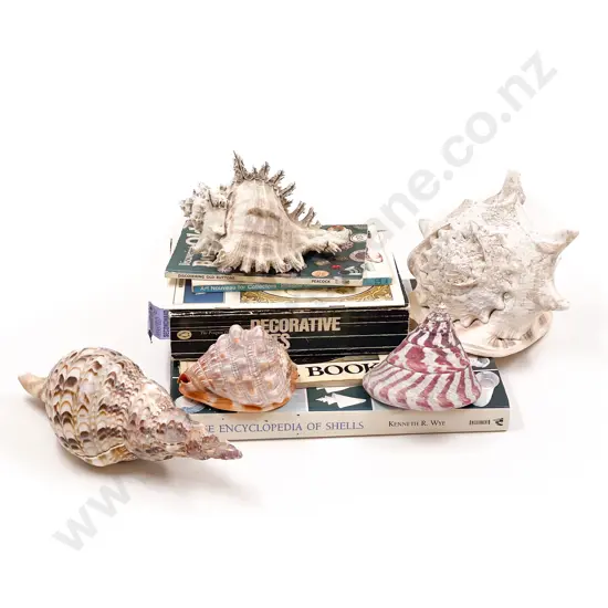 Five Assorted Shells together with Quantity of Shell Reference Books