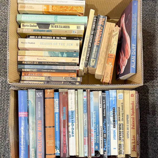 Two Boxes of Assorted Books