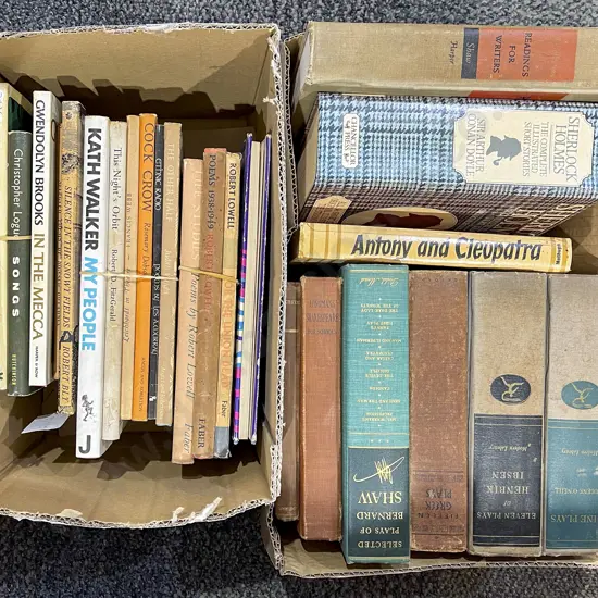 Two Boxes of Assorted Books
