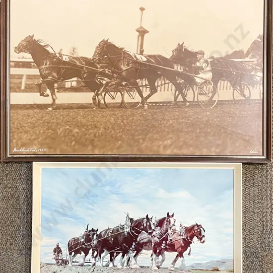 Whites Aviation - Auckland Trots 1929