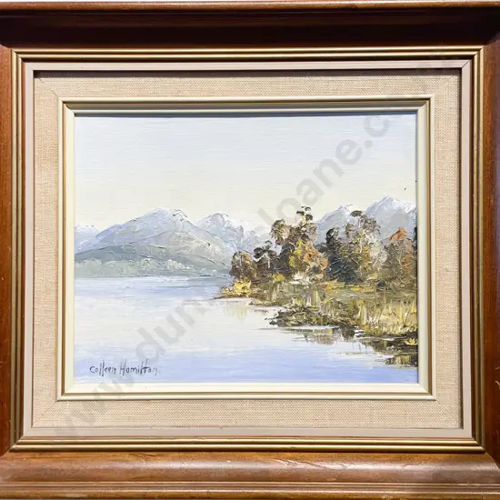 Colleen Hamilton - "Lake Caniere Westland" - Oil on Board