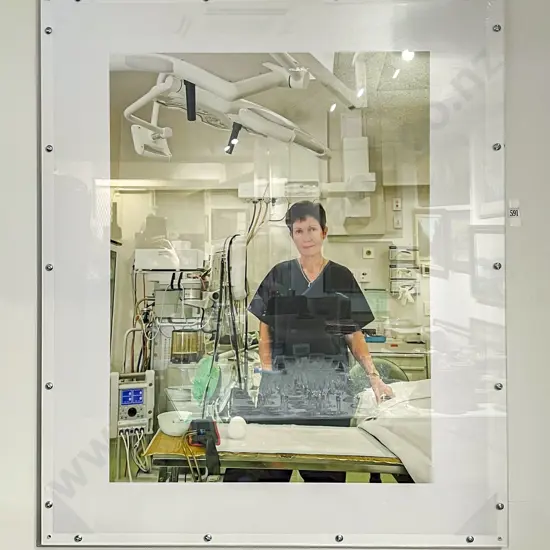 Karen Smith - "All Woman" - Photographic Work in Perspex Casing