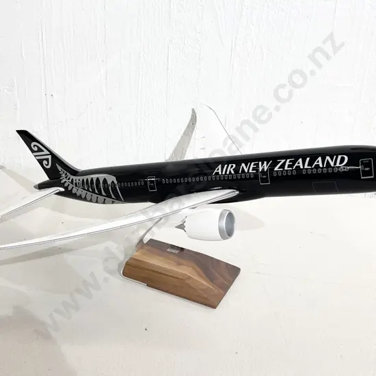 Pacmin Model Airplane