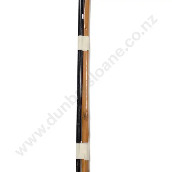 Two Walking Sticks