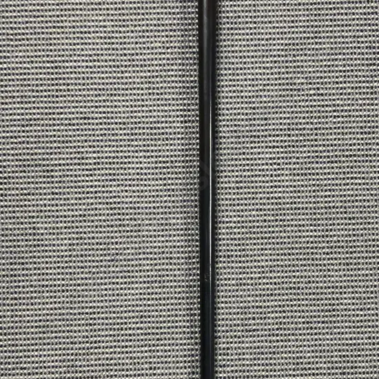 Walking Cane with Lion Head Handle