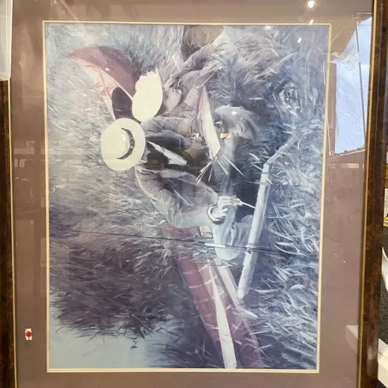 Large Decorative Framed Print