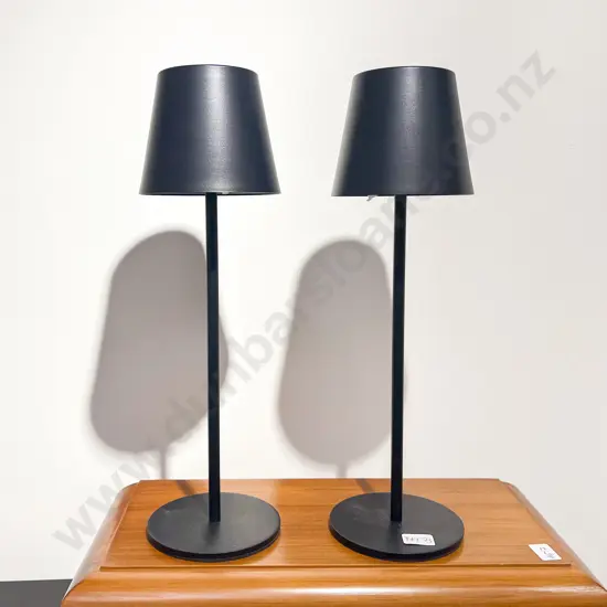 Pair of Modern LED Table Lamps