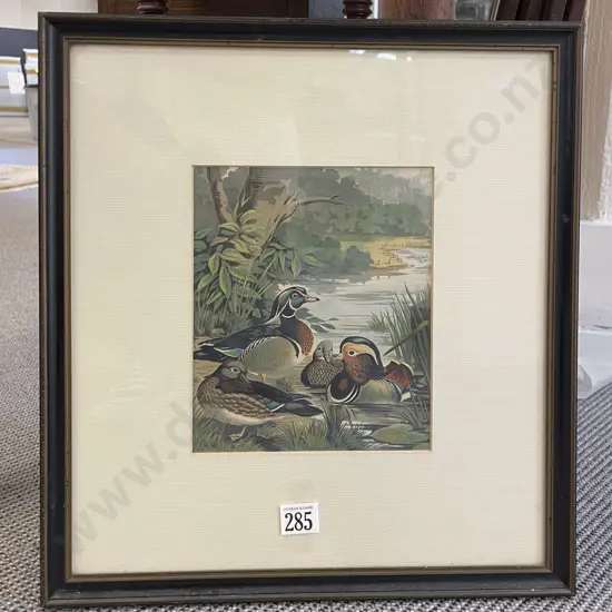 Small Coloured Prints Of Mallard Ducks