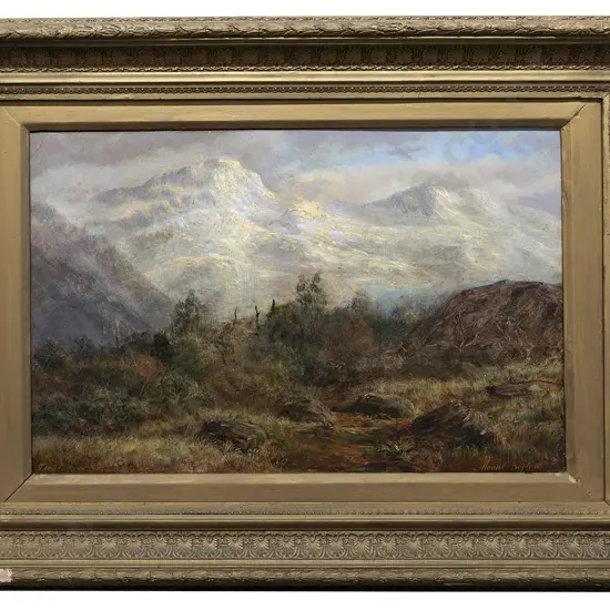 George T Froude - Mt Sefton 1888