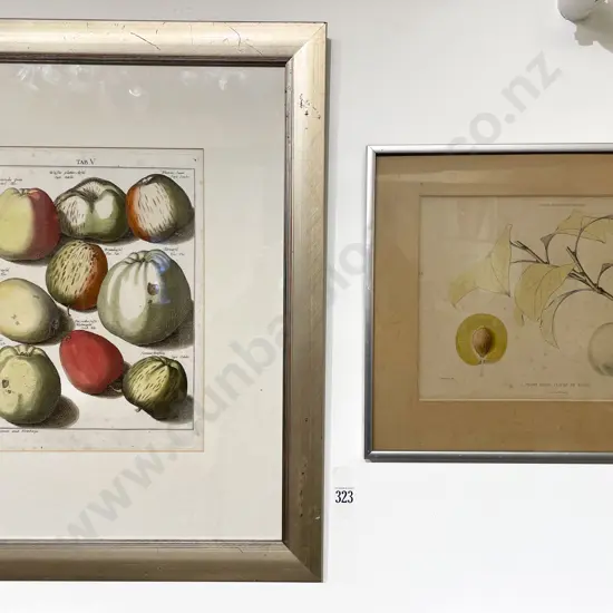 C19th Engraved Book Plate