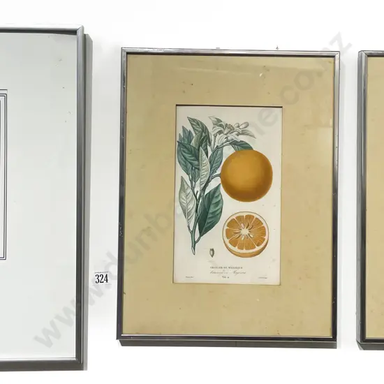 Three C19th Book Plates depicting fruits