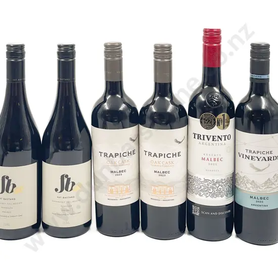 Six Assorted Argentinian Red Wines