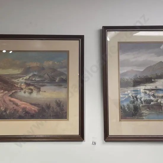 Two Framed Vintage Prints Pink and White Terraces