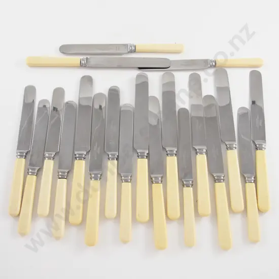 10 Bone Handled Table Knives & 10 Butter Knives