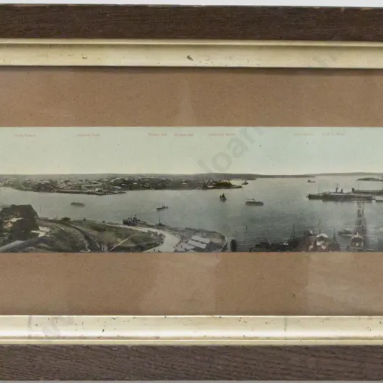 Panorama of the City and Harbour of Sydney from Miller's Point