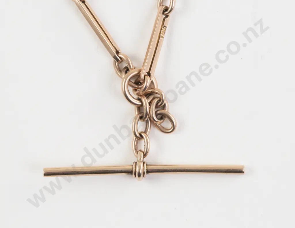 9ct Rail and Trace Link Albert Neck Chain Image 1++