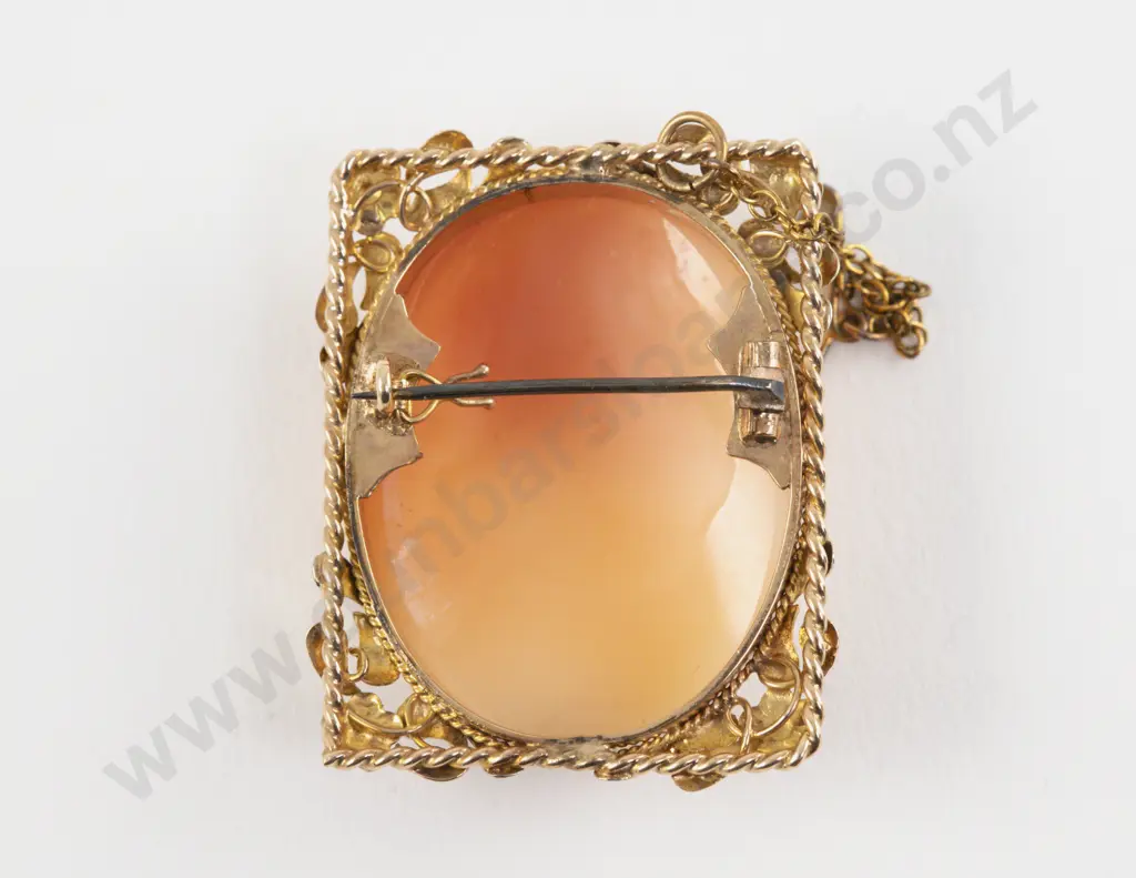 9ct Yellow and White Gold Framed Classical Portrait Cameo Brooch Image 1++