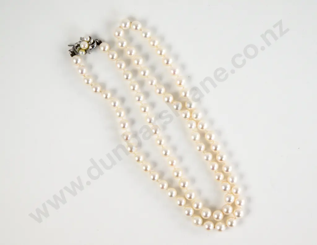 Single Strand Uniform Cultured Pearl Necklace Image 1++