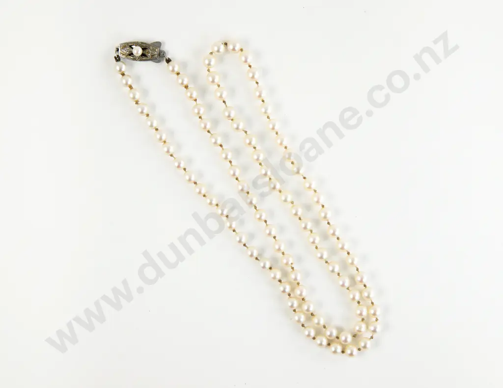 Mikimoto Single Strand Uniform Cultured Necklace Image 1++