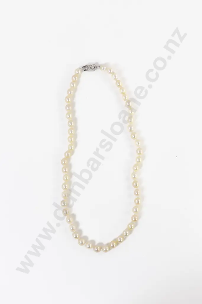 Single Strand Uniform Cultured Pearl Necklace Image 1++