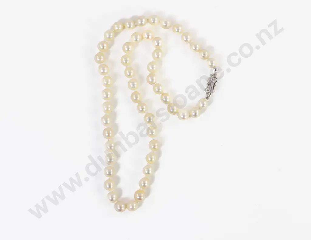 Single Strand Uniform Cultured Pearl Necklace Image 1++