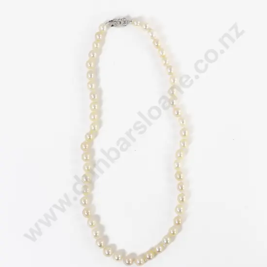 Single Strand Uniform Cultured Pearl Necklace