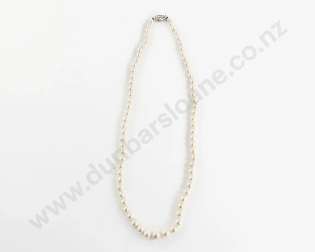 Single Strand Graduated Cultured Pearl Necklace Image 1++