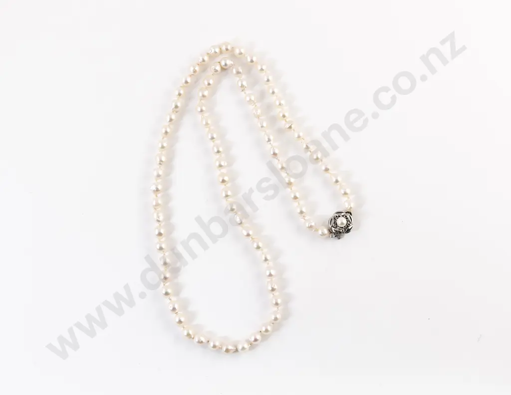 Single Strand Uniform Cultured Pearl Necklace Image 1++