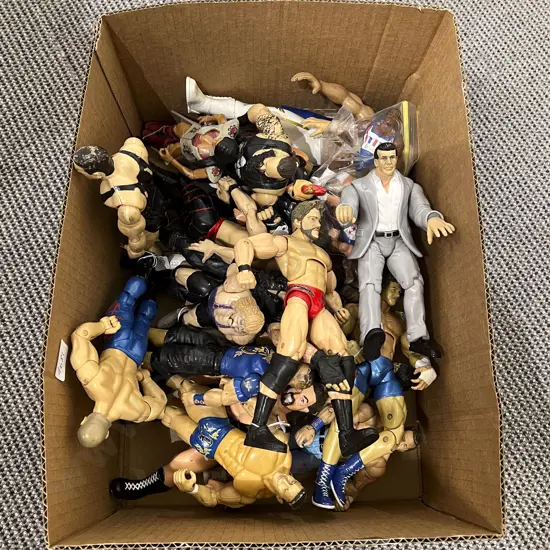 Assorted Wrestling Action Figures