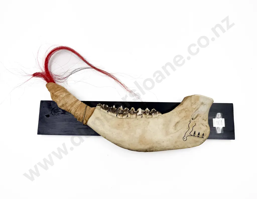 Mounted Jaw Bone Image 1++