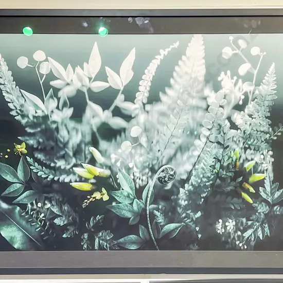 Kenzie Cheeseman - Frosted Flora - Ltd Ed Giclee Print 1/5