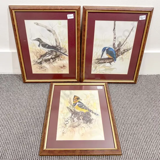 Helen Bukowski - Three Ornithological Studies - Prints