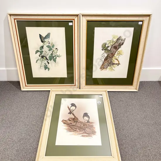 Three Janet Marshall Bird Study Prints