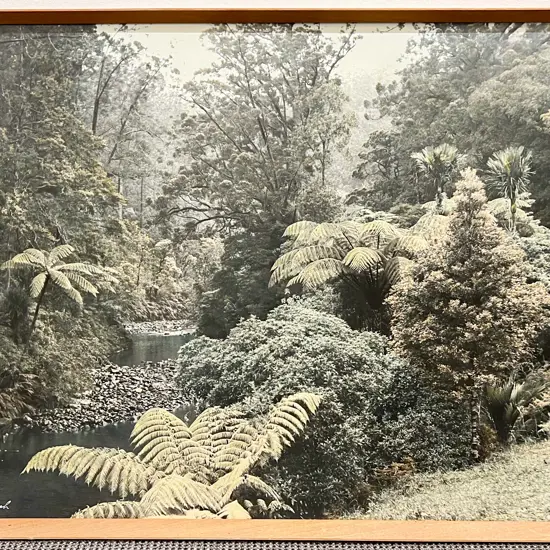 Whites Aviation NZ Bush