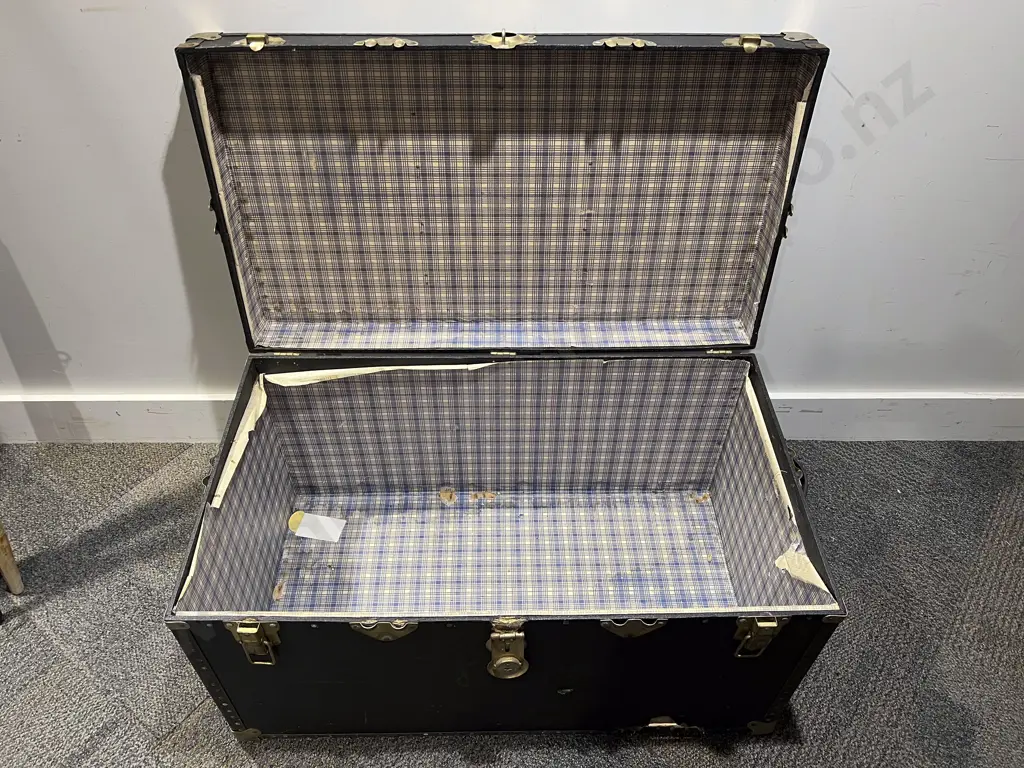 Travel Trunk (faults) Image 1++
