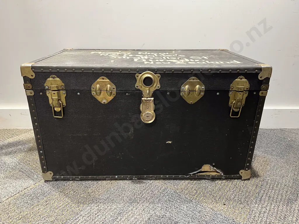 Travel Trunk (faults) Image 1++