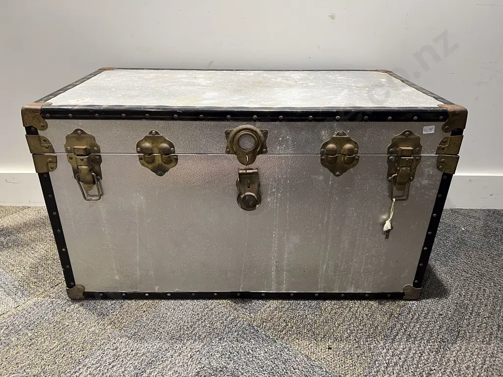 Travel Trunk Image 1++