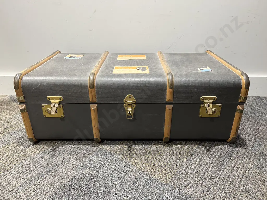 Travel Trunk Image 1++