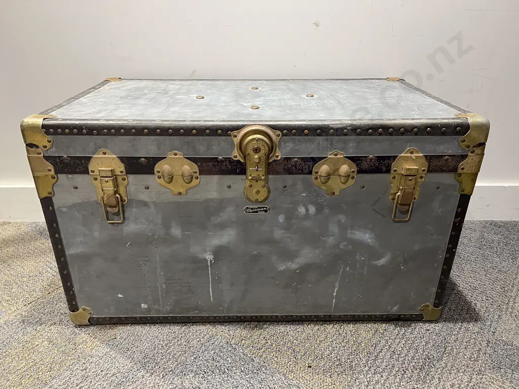 Travel Trunk Image 1++