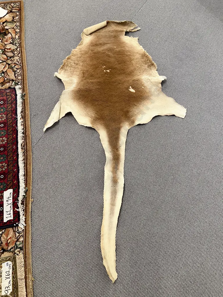 Animal Hide Rug Image 1++