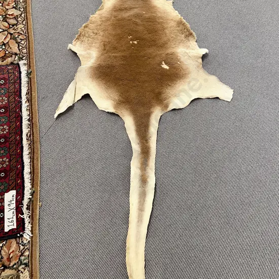 Animal Hide Rug