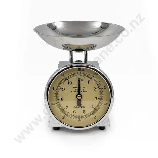 Modern Salter Kitchen Scale