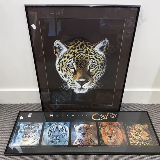 Two Framed Big Cat Works