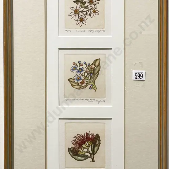 Framed Set of Three Mary E. Taylor Limited Edition Prints