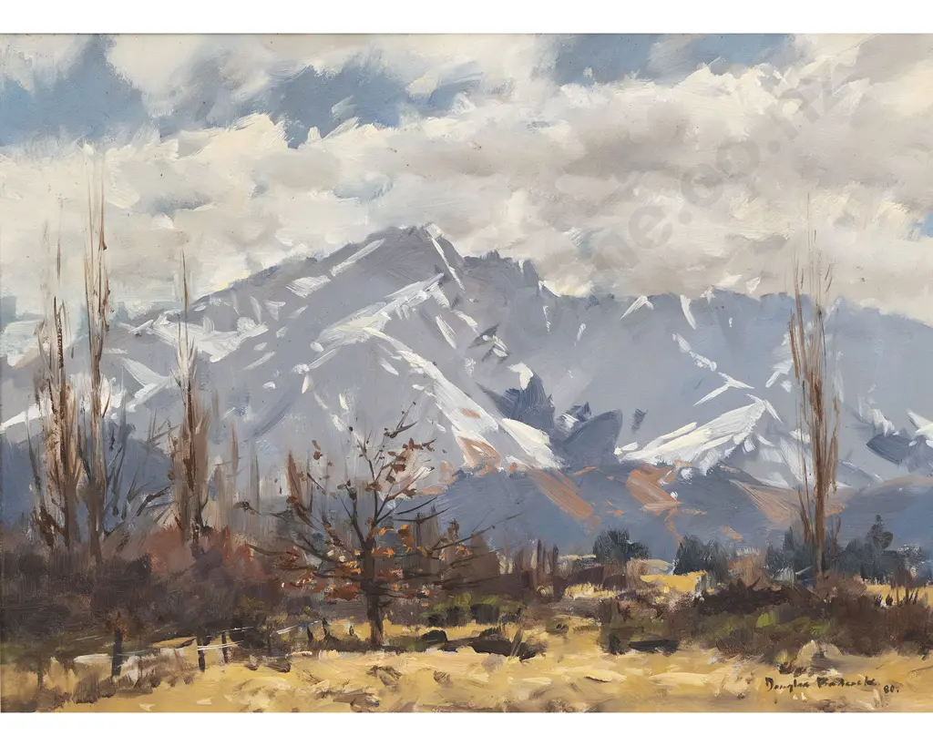 Douglas Badcock - Country Road Arrowtown Image 1++