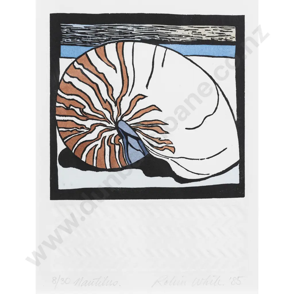 Dame Robin White - Nautilus Image 1++