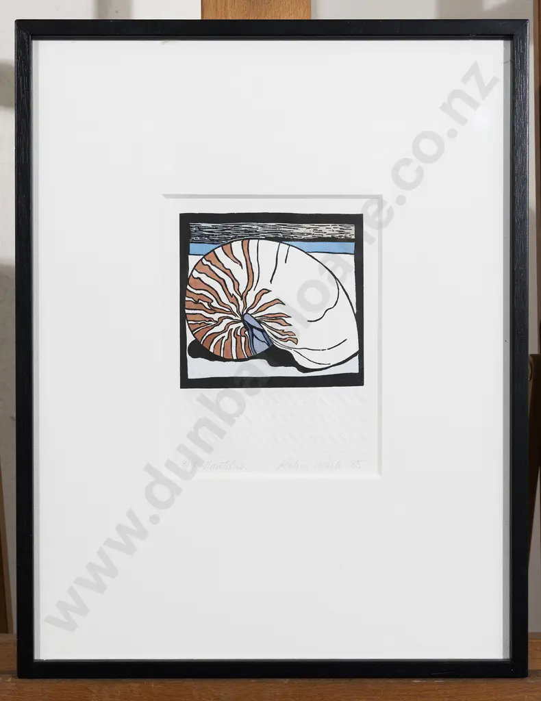 Dame Robin White - Nautilus Image 1++